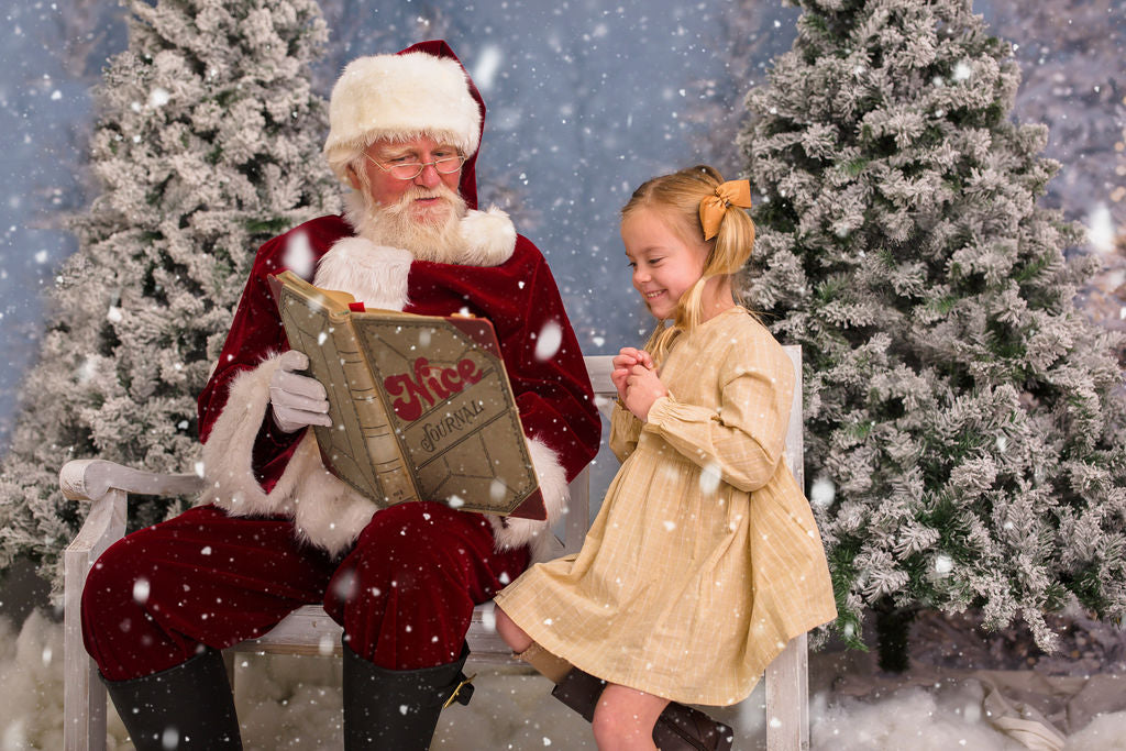 Christmas Trees in Snow with Lights (VR)