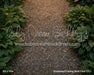 Enchanted Evening Stroll Floor (CC)