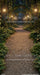 Enchanted Evening Stroll Sweeps (CC)