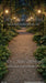 Enchanted Evening Stroll Sweeps (CC)