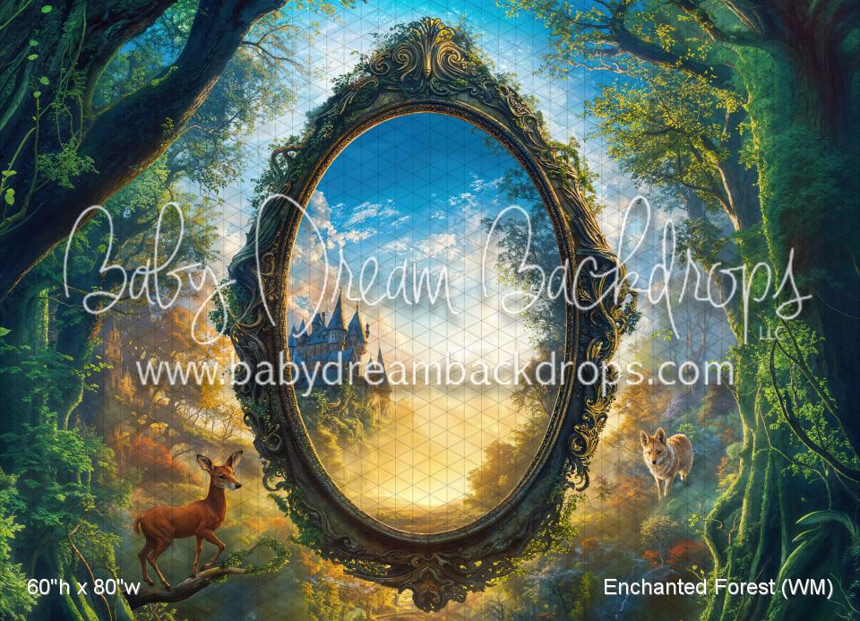 Enchanted Forest (WM)