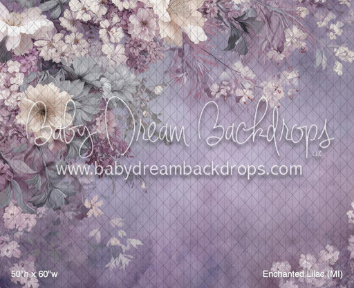 Enchanted Lilac (MI)