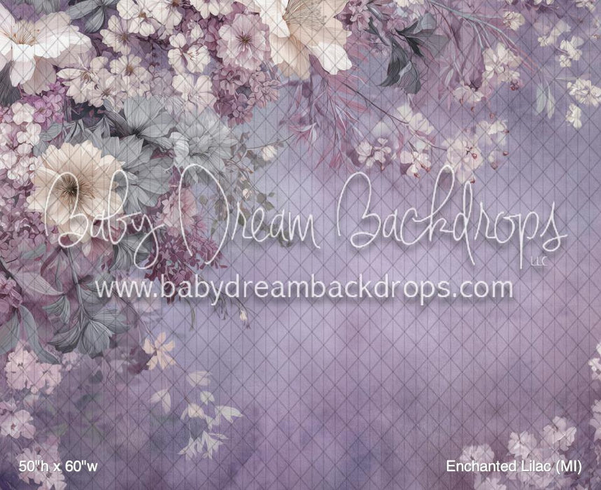 Enchanted Lilac (MI)