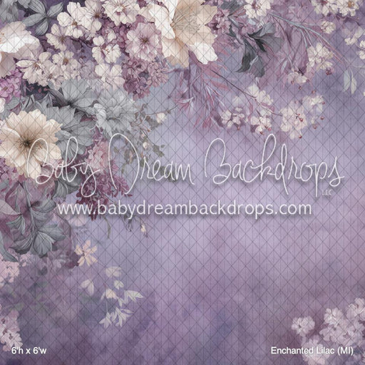 Enchanted Lilac (MI)