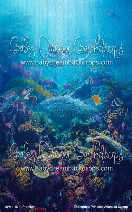 Enchanted Princess Atlantica Sweep (WM)