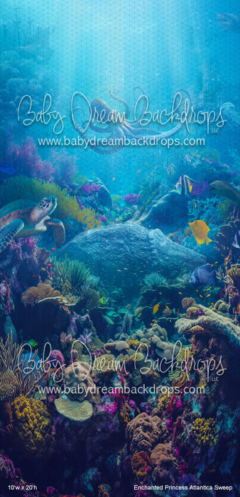 Enchanted Princess Atlantica Sweep (WM)