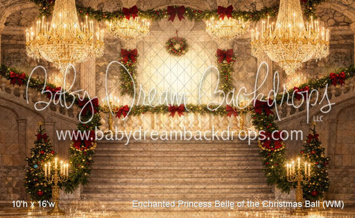 Enchanted Princess Belle of the Christmas Ball (WM)