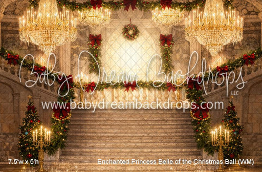 Enchanted Princess Belle of the Christmas Ball (WM)