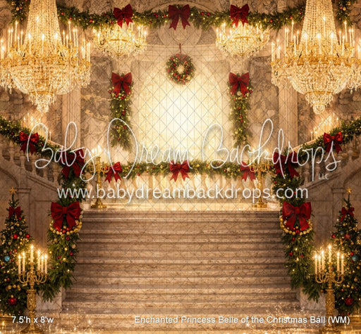 Enchanted Princess Belle of the Christmas Ball (WM)
