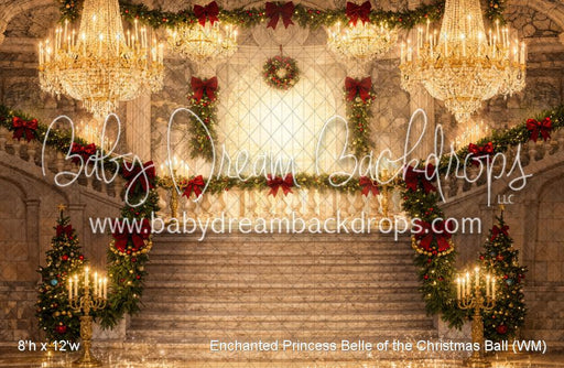 Enchanted Princess Belle of the Christmas Ball (WM)