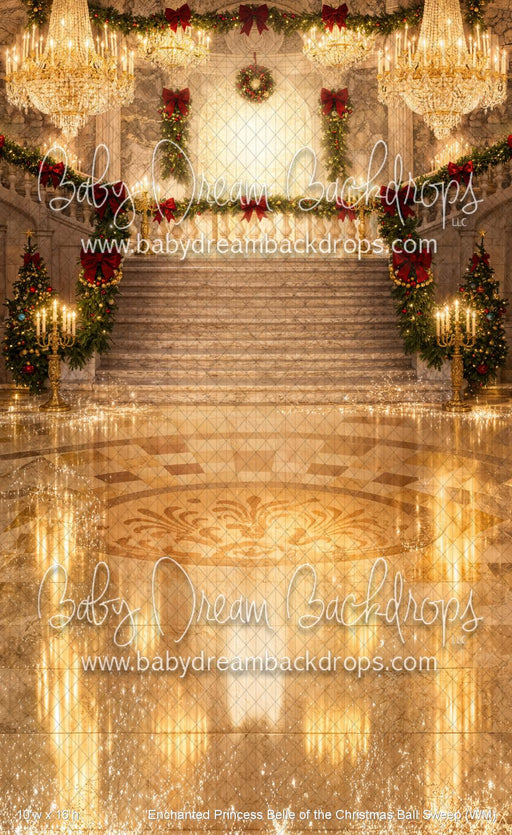 Enchanted Princess Belle of the Christmas Ball Sweep (WM)