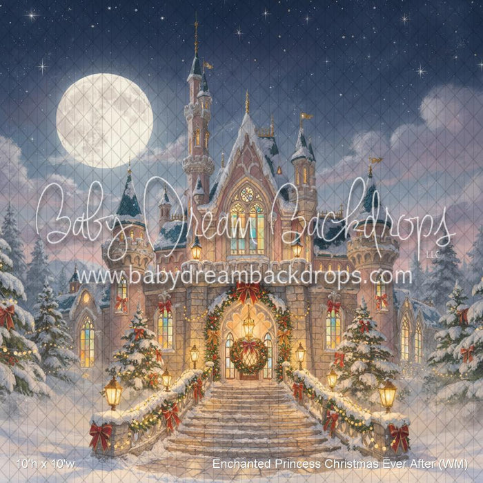 Enchanted Princess Christmas Ever After (WM)
