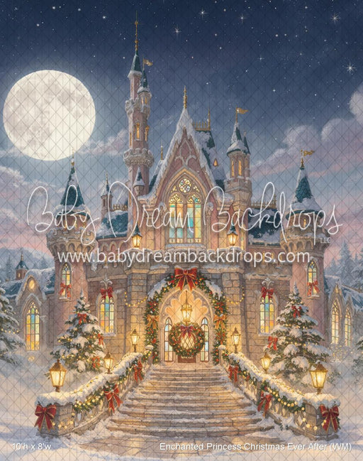 Enchanted Princess Christmas Ever After (WM)