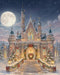 Enchanted Princess Christmas Ever After (WM)