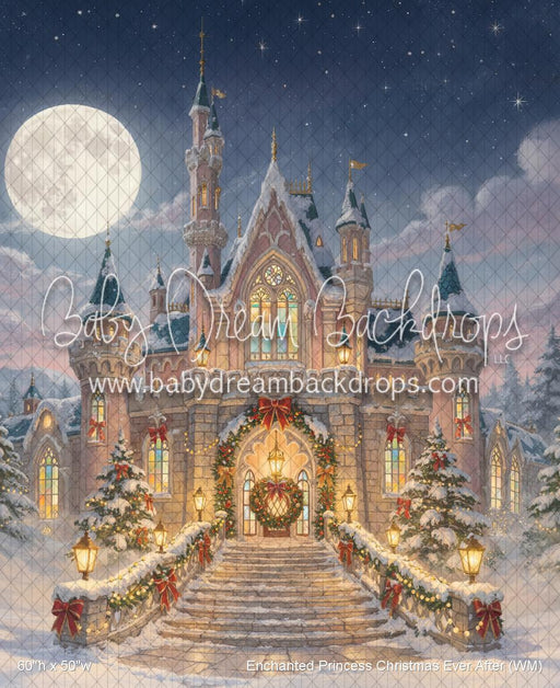 Enchanted Princess Christmas Ever After (WM)