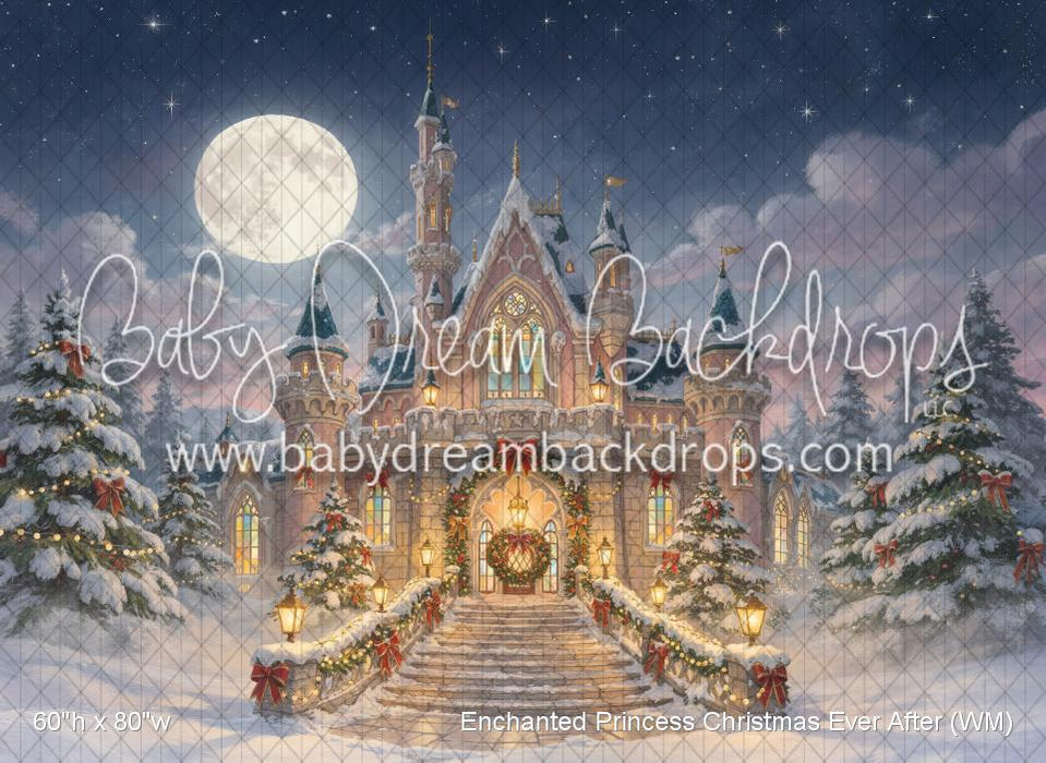Enchanted Princess Christmas Ever After (WM)