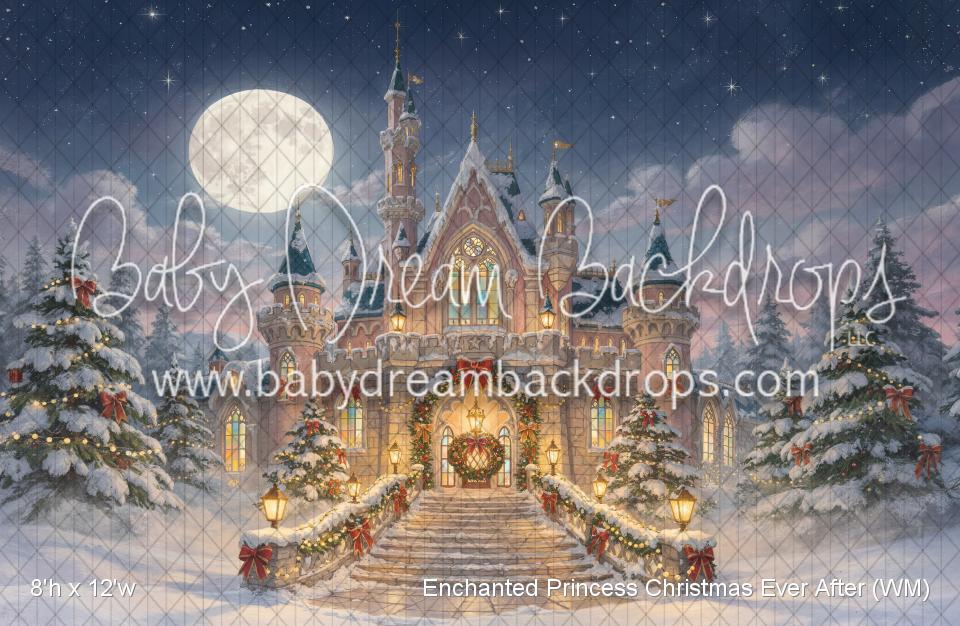 Enchanted Princess Christmas Ever After (WM)