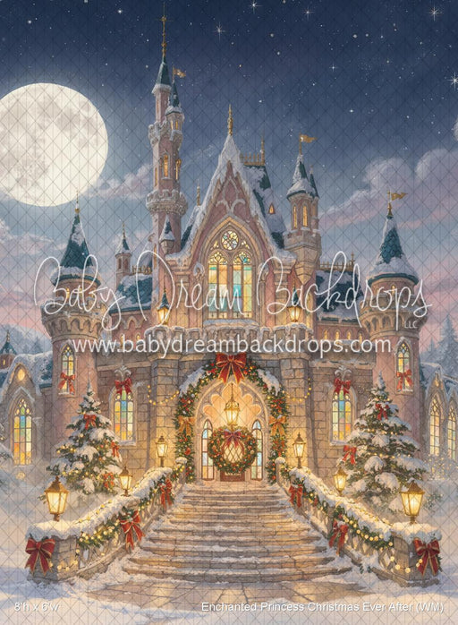 Enchanted Princess Christmas Ever After (WM)