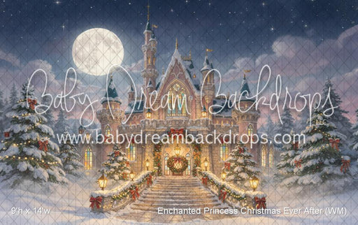 Enchanted Princess Christmas Ever After (WM)