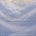 Enchanted Princess Christmas Ever After Fabric Floor (WM)