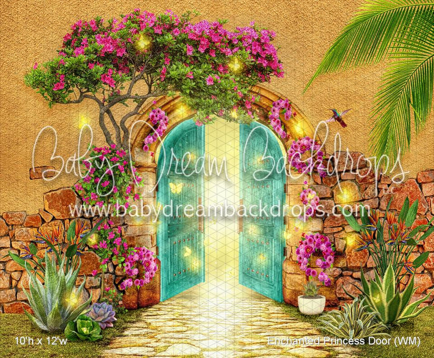 Enchanted Princess Door (WM)