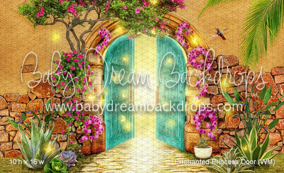 Enchanted Princess Door (WM)