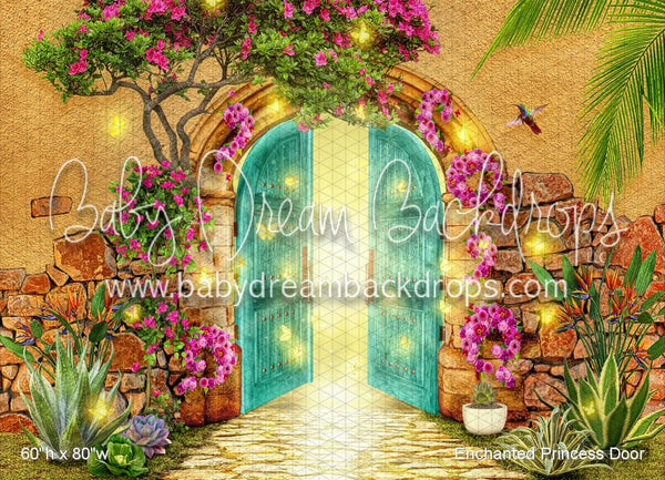 Enchanted Princess Door (WM)