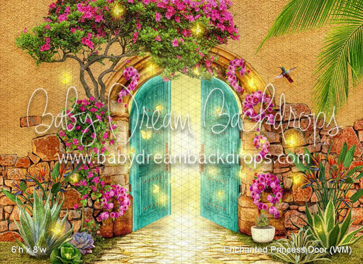 Enchanted Princess Door (WM)