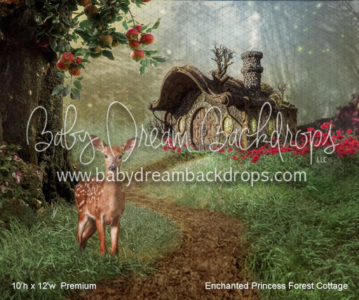 Enchanted Princess Forest Cottage (WM)