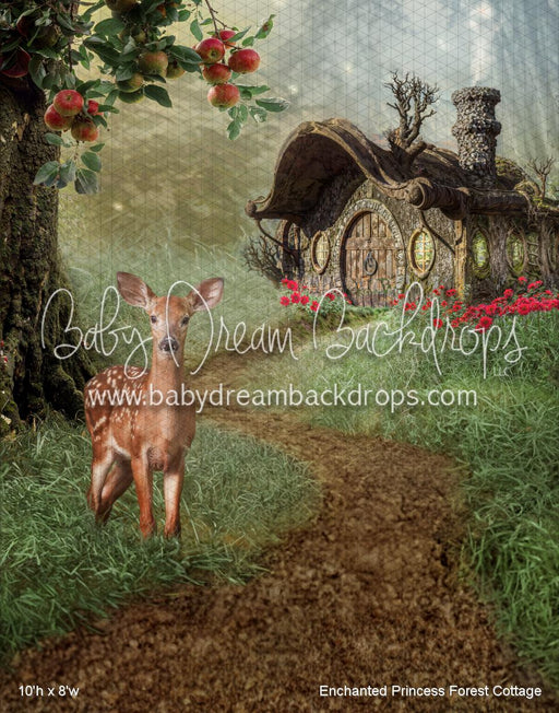 Enchanted Princess Forest Cottage (WM)