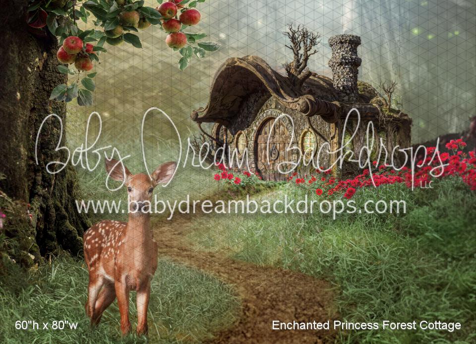Enchanted Princess Forest Cottage (WM)