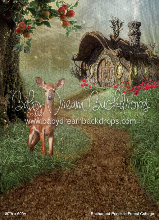 Enchanted Princess Forest Cottage (WM)