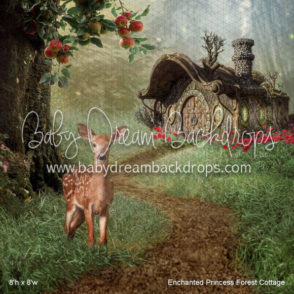 X Drop Enchanted Princess Forest Cottage (WM)