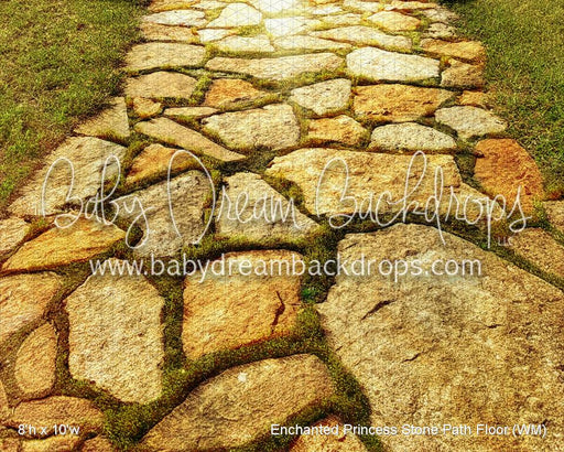 Enchanted Princess Stone Path Fabric Floor (WM)