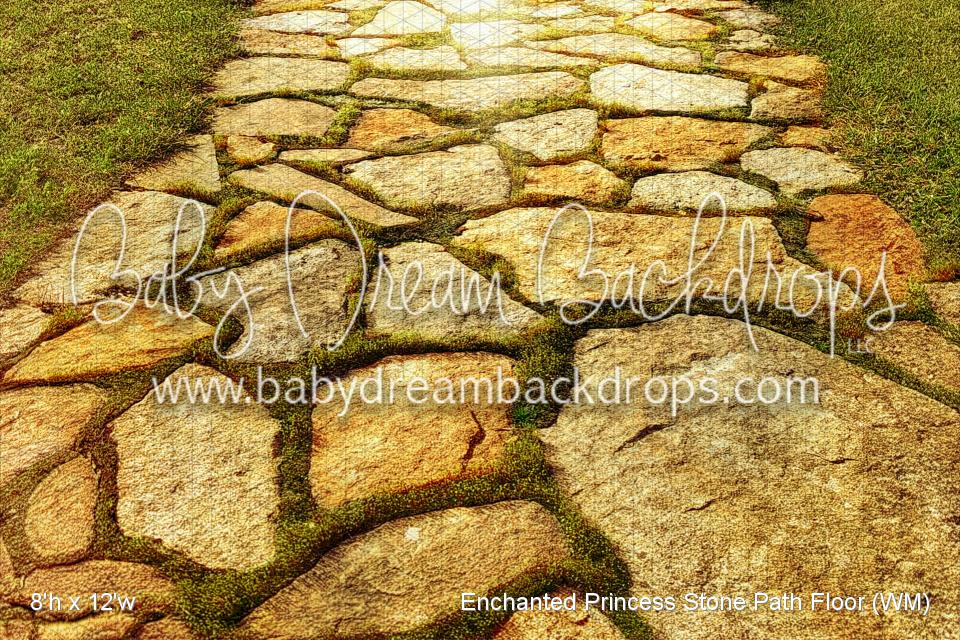 Enchanted Princess Stone Path Fabric Floor (WM)