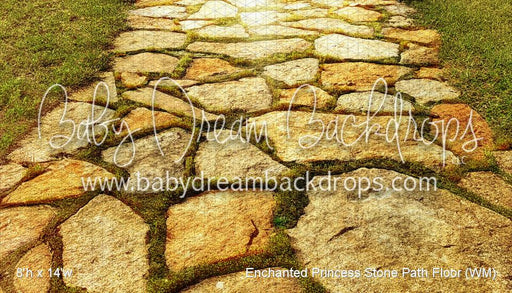 Enchanted Princess Stone Path Floor (WM)