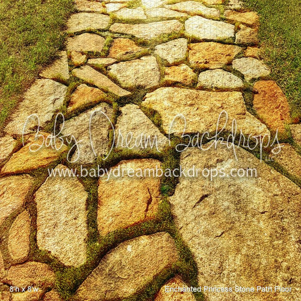 Enchanted Princess Stone Path Fabric Floor (WM)