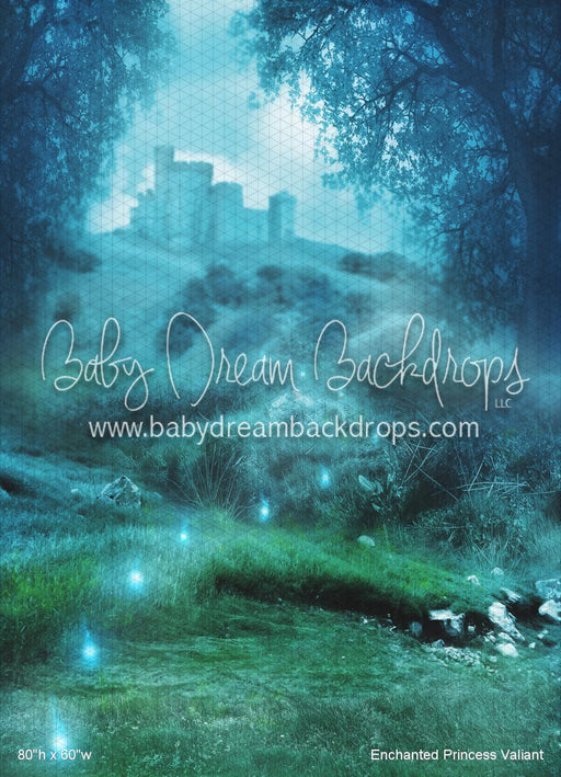 Enchanted Princess Valiant (WM)