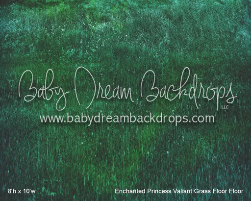 Enchanted Princess Valiant Grass Floor Floor (WM)