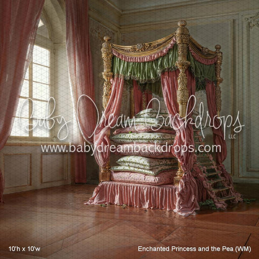 Enchanted Princess and the Pea (WM)