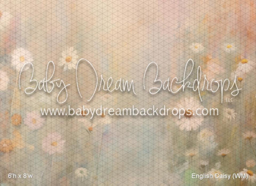 English Daisy (WM)