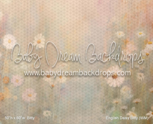 English Daisy Bitty (WM)