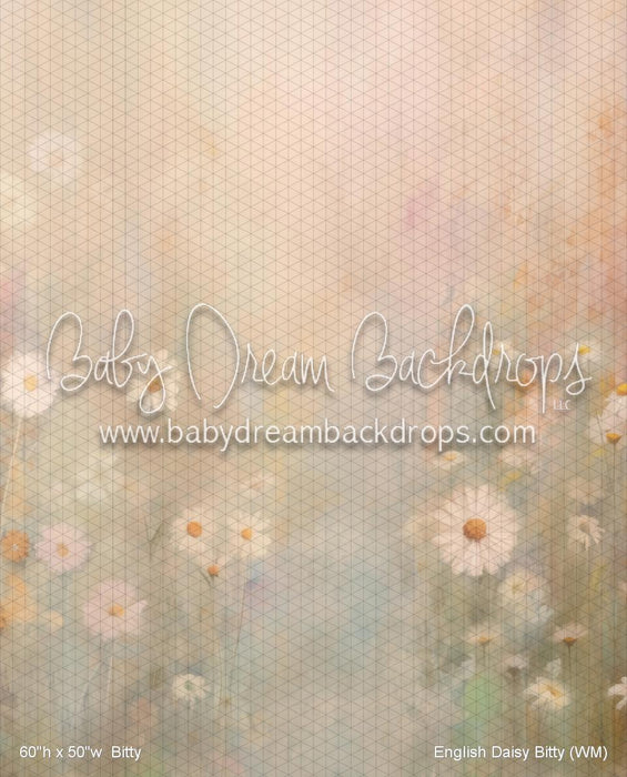 English Daisy Bitty (WM)