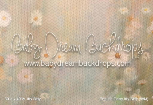 English Daisy Itty Bitty (WM)