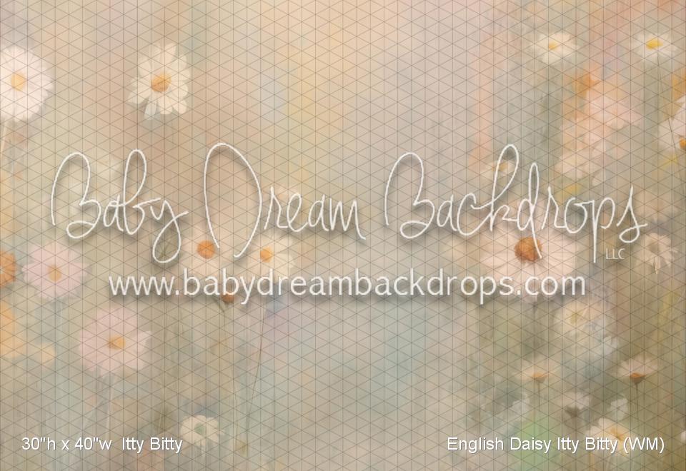 English Daisy Itty Bitty (WM)
