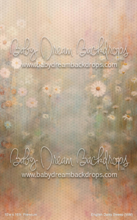 English Daisy Sweep (WM)