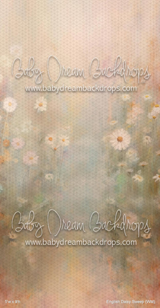English Daisy Sweep (WM)