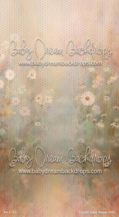 English Daisy Sweep (WM)