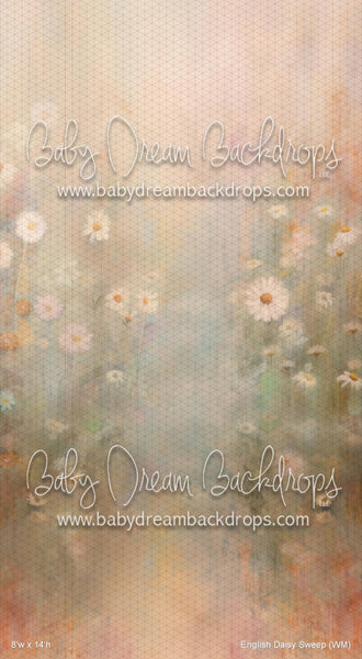X Drop English Daisy Sweep (WM)