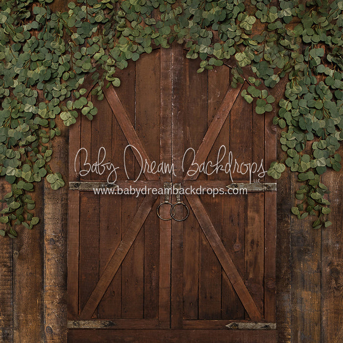 Eucalyptus Archer Door